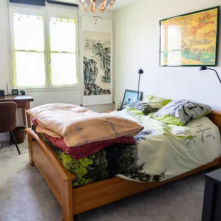 Apartment Beautiful With Balcony In Gerardmer